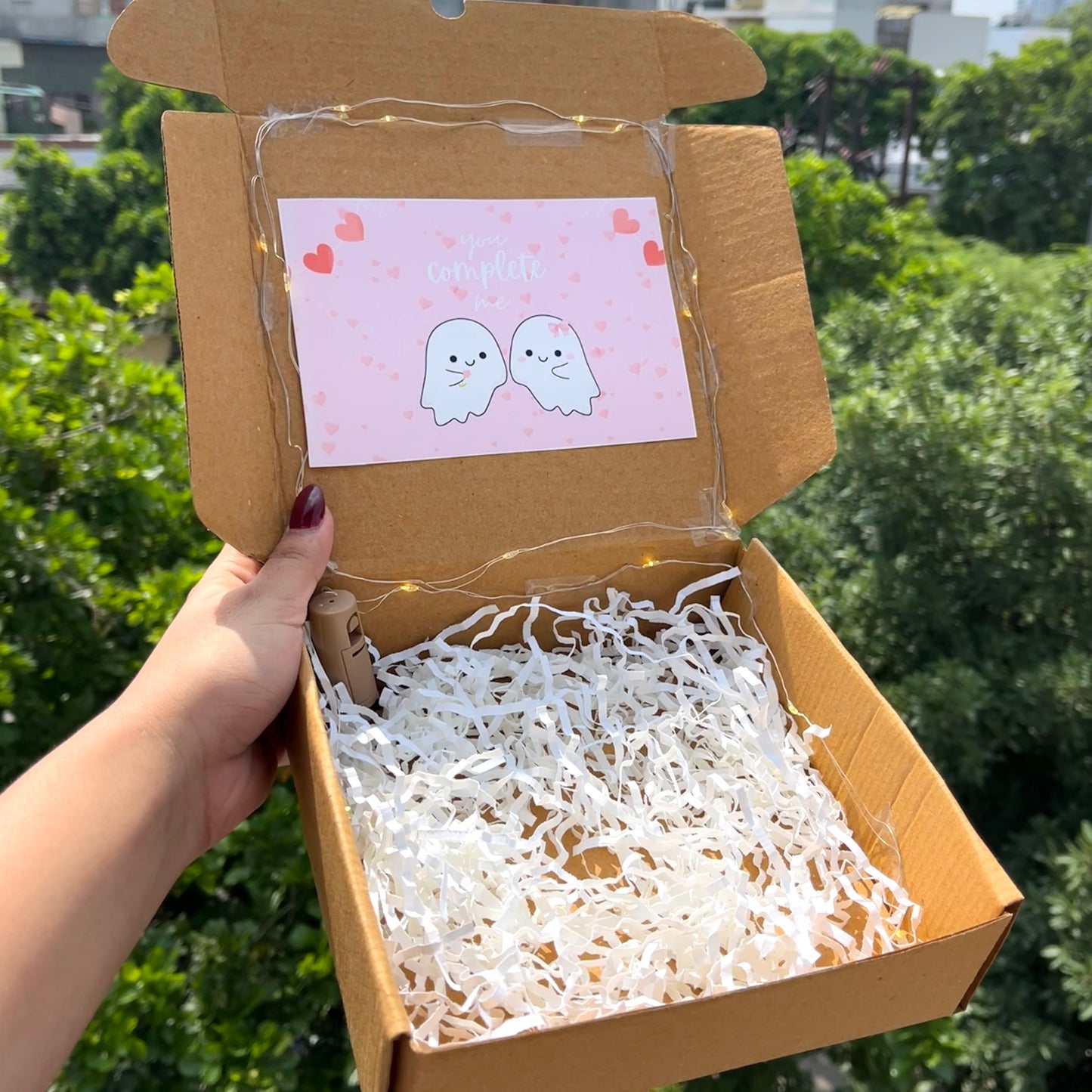 Fairy Light Packaging